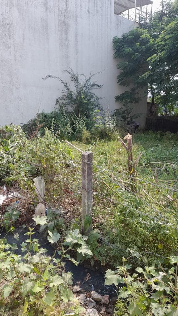 Plot for Sale in , Bengali Square, Indore